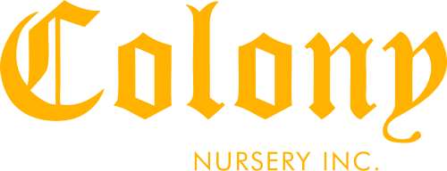 Colony Nursery